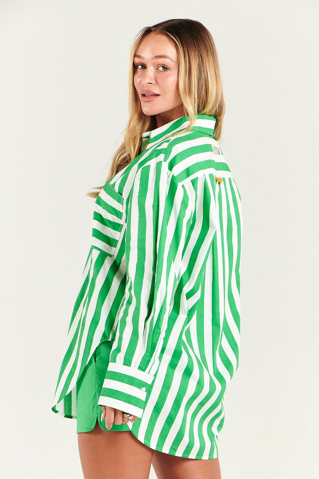 The Buddy Shirt - Mantis Stripe